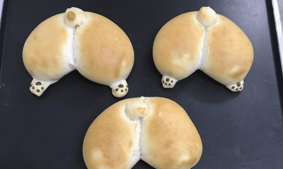 A Bakery In Japan Makes Corgi Butt Buns Stuffed with Jam and I’m Booking My Trip Now