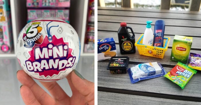 Mini brands? I do not see the point to these : r/Anticonsumption