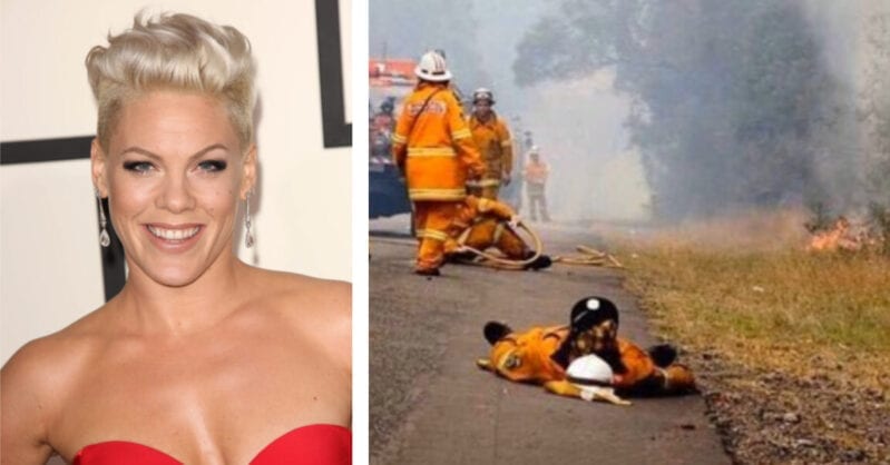 Pink Donated Half A Million Dollars To Help Fight The Fires In Australia