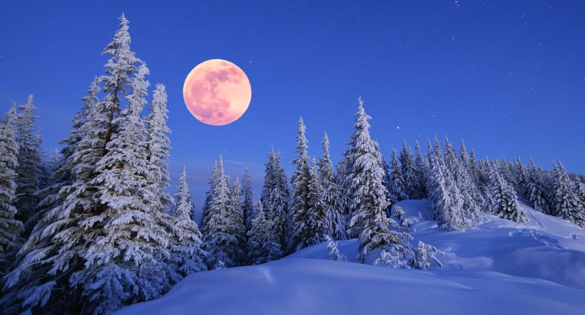 You’ll Be Able To See The Super Snow Moon This Weekend. Here’s How.