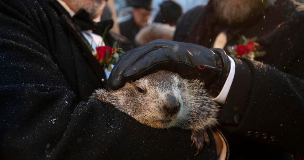 Here’s What Punxsutawney Phil’s Prediction is for the Rest of Winter