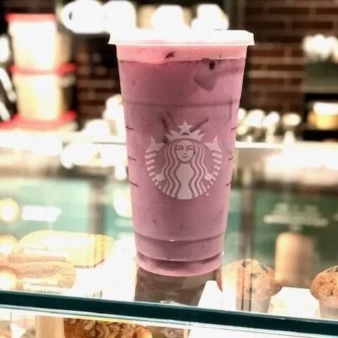 Purple Drink at Starbucks