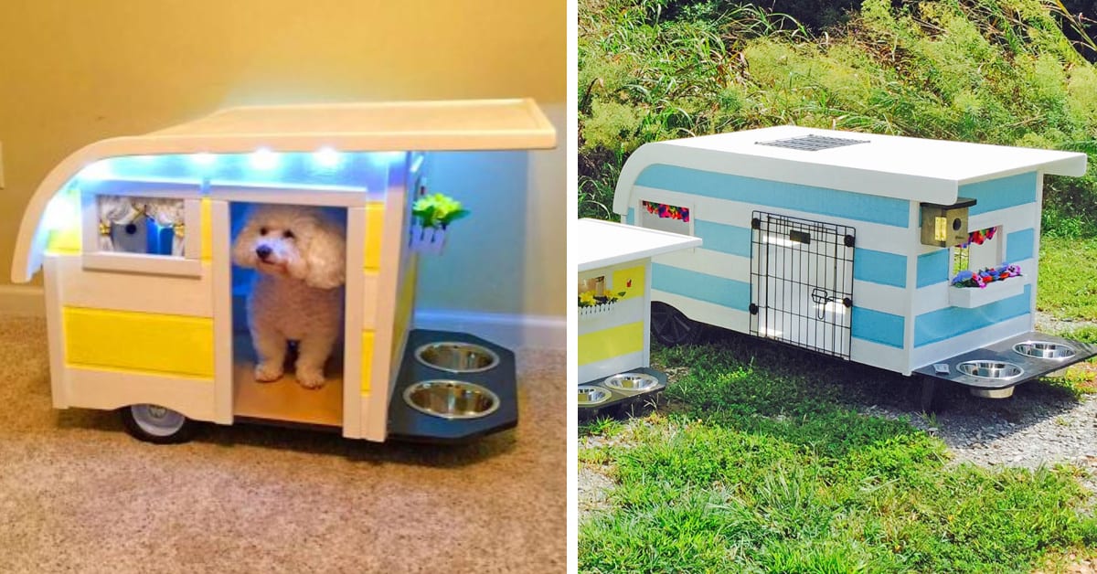 These RV Trailer Dog Beds Let Your Pooch Camp Out In Style