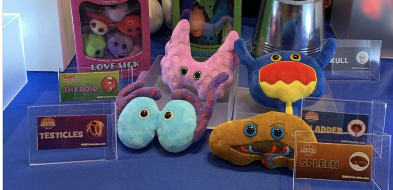 You Can Get Your Internal Organs As Stuffed Toys Now, So There's That