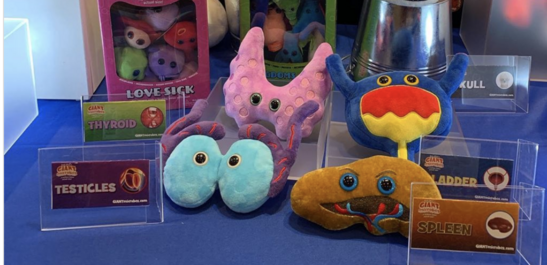 You Can Get Your Internal Organs As Stuffed Toys Now, So There’s That