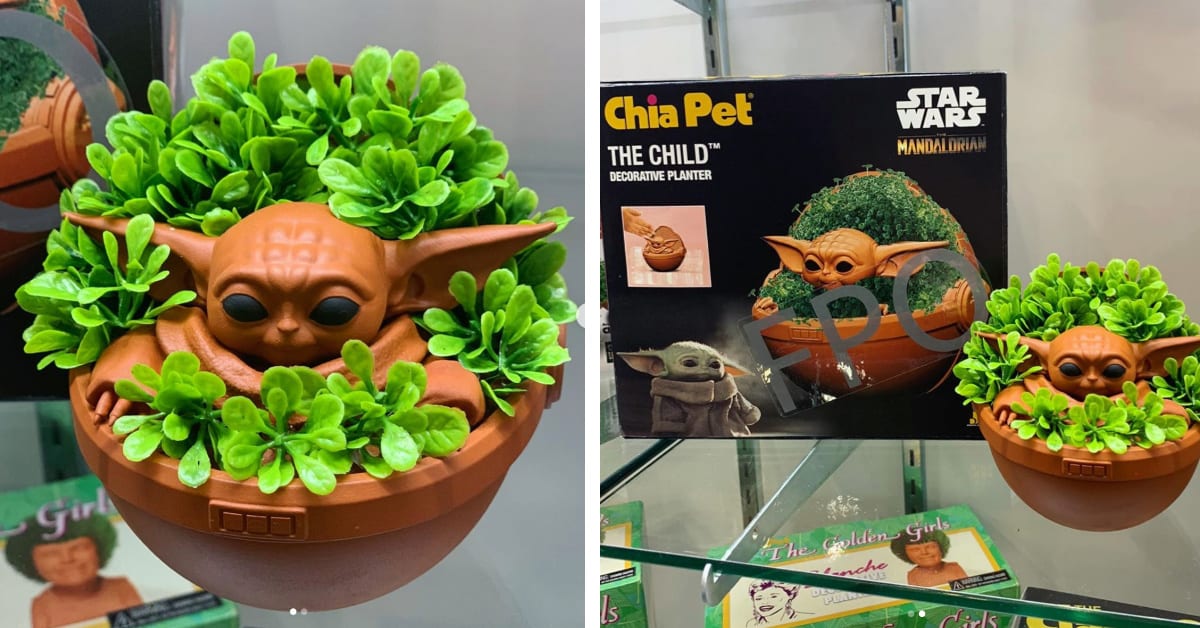 You Can Now Grow Your Own Child With These Baby Yoda Chia Pets