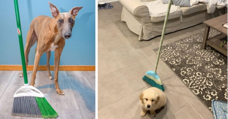 Turns Out, Brooms Can Stand Up On Their Own Any Day Of The Year. Here’s Why.