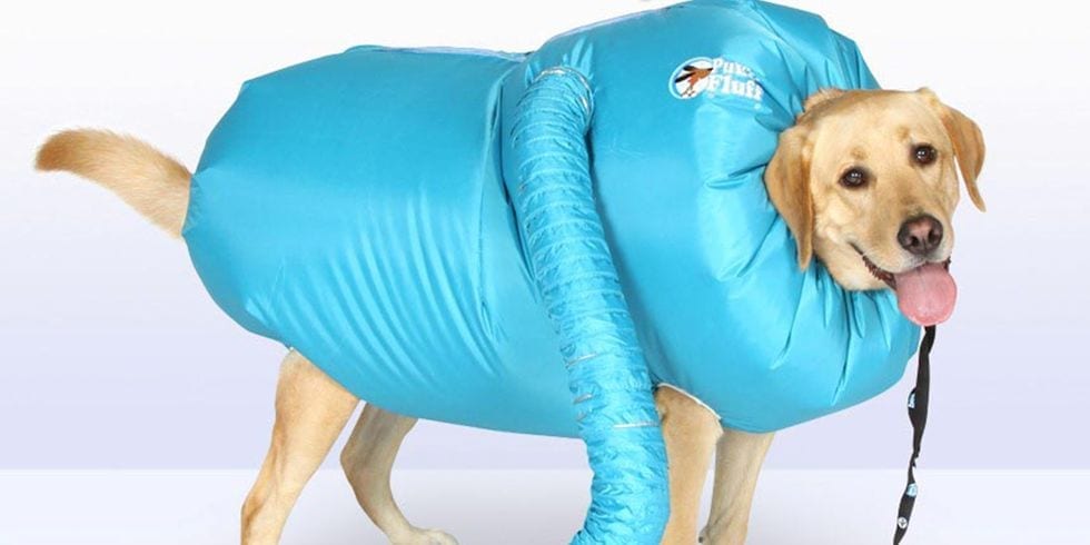 You Can Get A Wearable Dryer Jacket to Dry Your Dog After A Bath and It Is Hilarious
