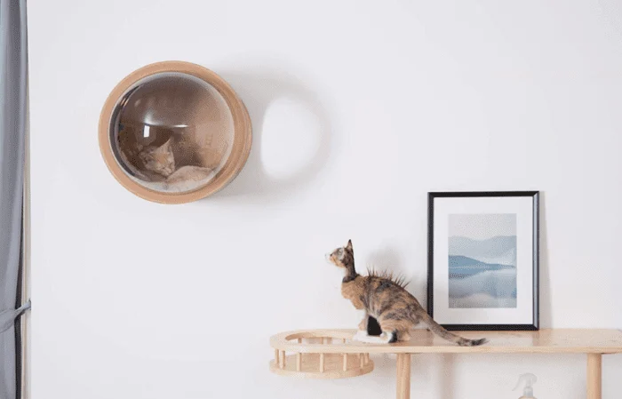 These Wall-Mounted Cat Beds Offer The Perfect Place to Take A Cat Nap