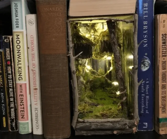 Disney Book Nook Bookshelf Insert 