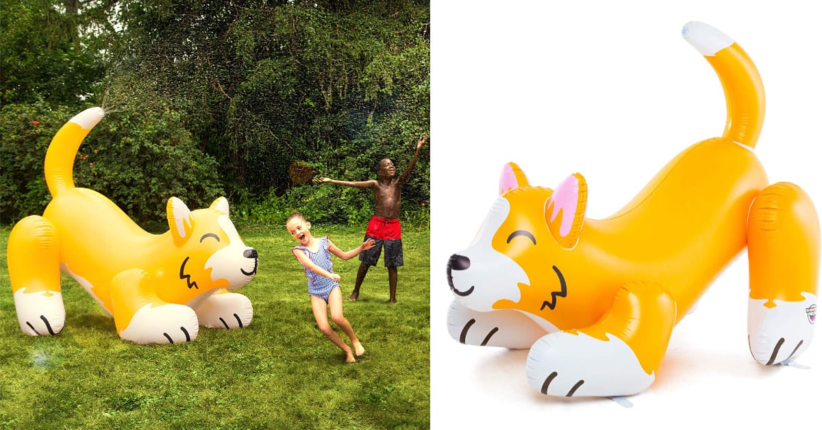 You Can Get A Giant Inflatable Corgi Sprinkler That Shoots Water From Its Tail And I Need It
