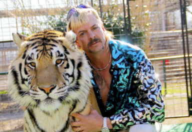 A ‘Tiger King’ Sequel Is Coming. Here’s Everything We Know.