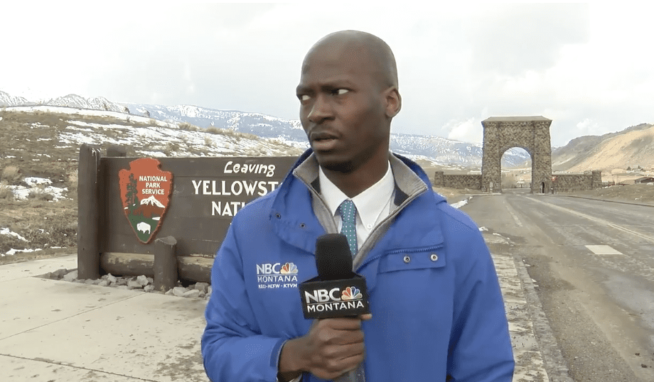 A Reporter Was Approached By A Herd of Bisons While Reporting On Live TV and His Reaction Is Priceless