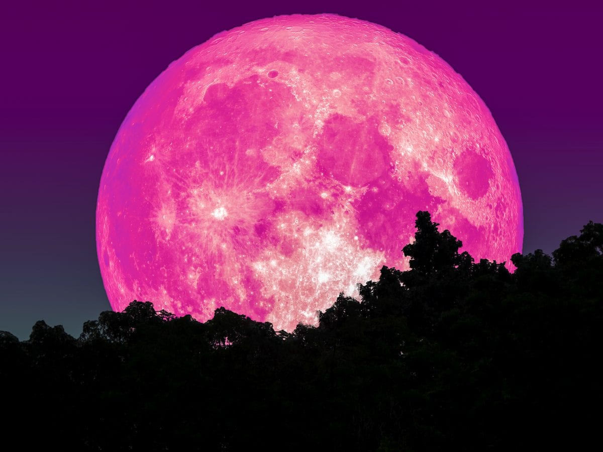 You'll Be Able To See April's Super Pink Moon Tonight. Here's How.
