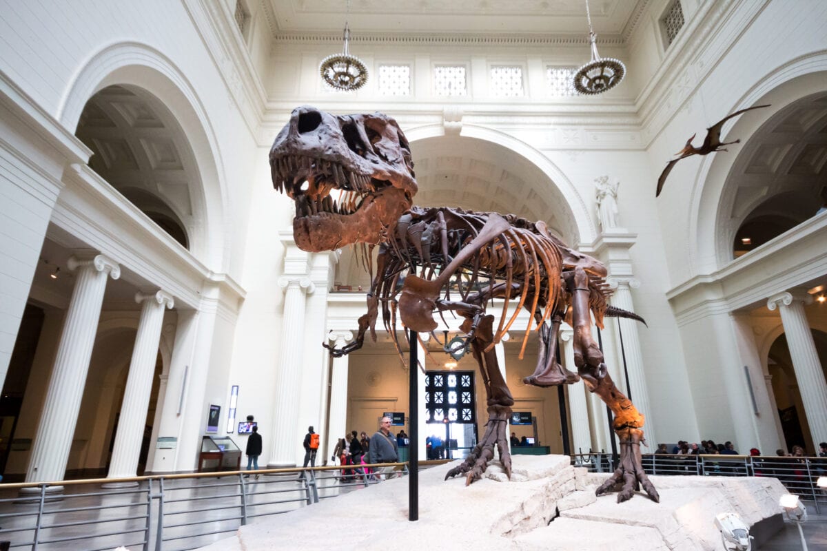 You Can Take Virtual Tours of Museums For An Online Field Trip With Your Kids