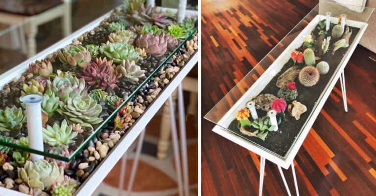 This Glass Table Is The Perfect Way to Display Your Succulent Garden