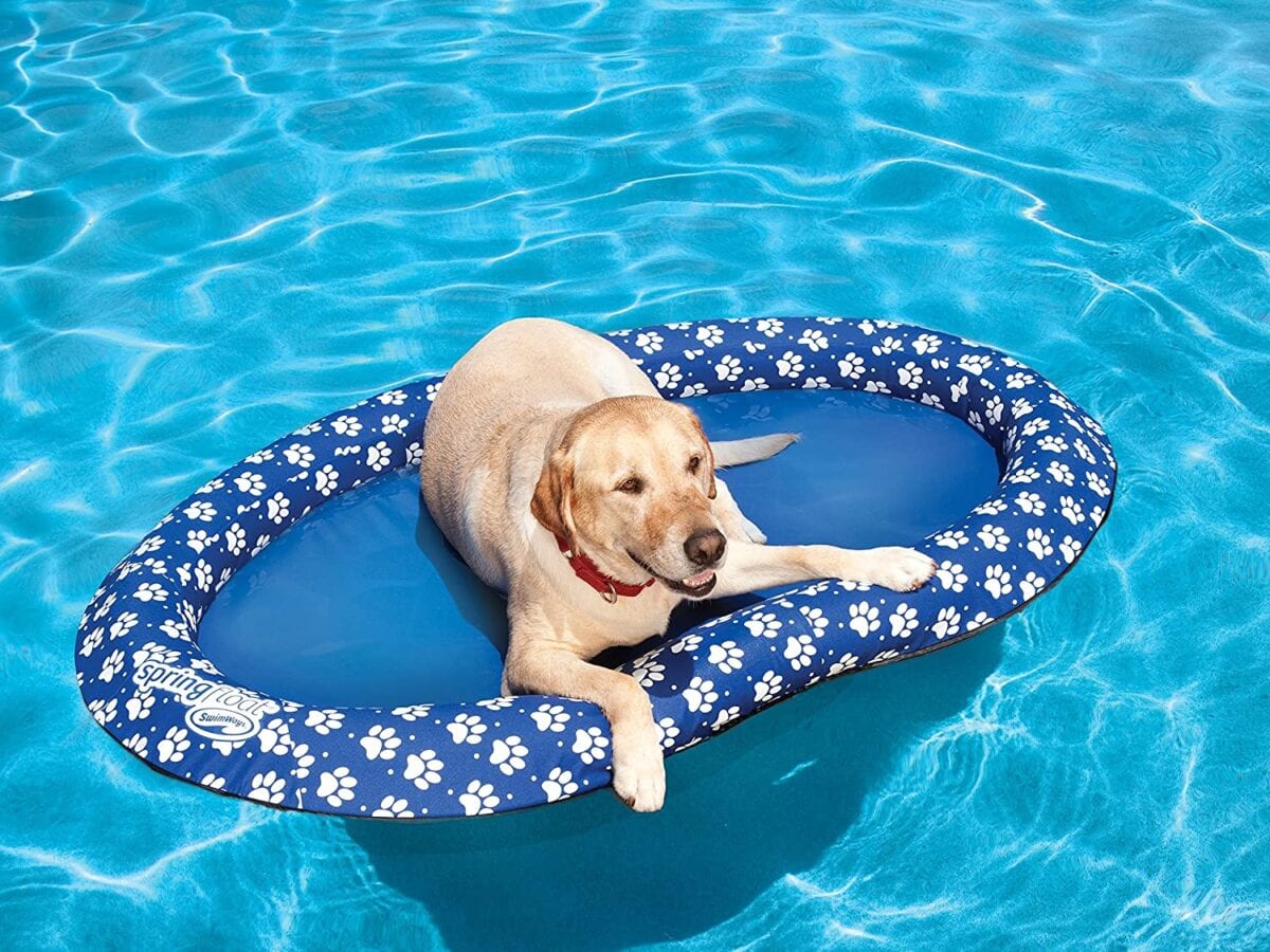 You Can Get A Pool Float For Your Dog And I Have To Have One
