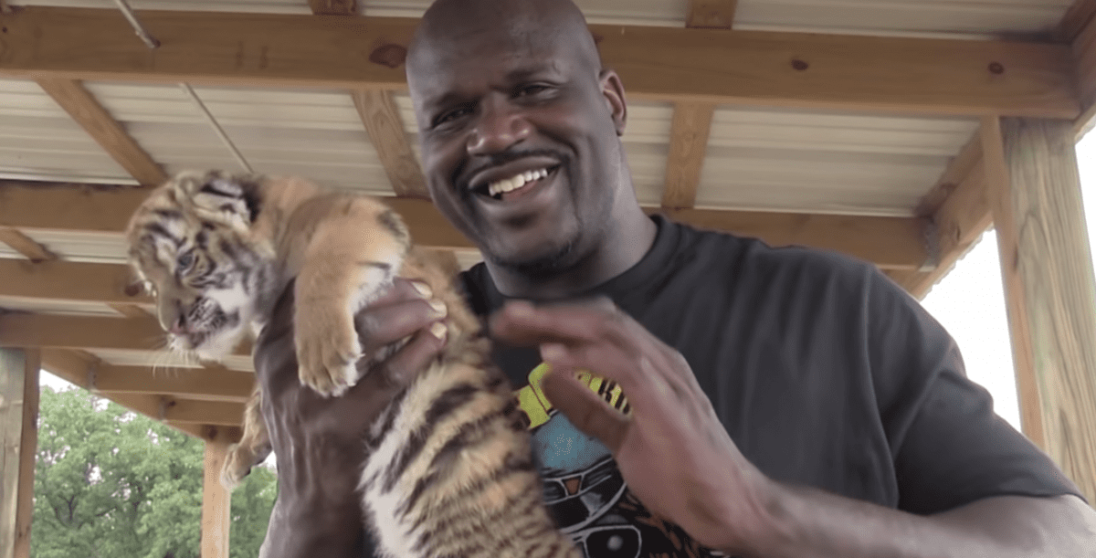 Here’s Why Shaquille O’Neal Was On Netflix’s ‘Tiger King’