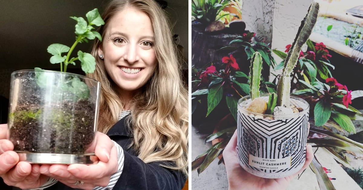 Here’s How To Upcycle Your Empty Bath And Bath Body Works Candle Jar Into A Planter