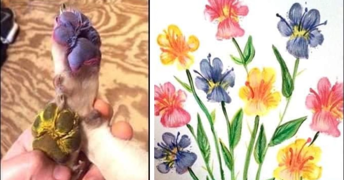 Here’s How You Can Use Your Dog’s Paw Print To Make Art While Stuck Inside