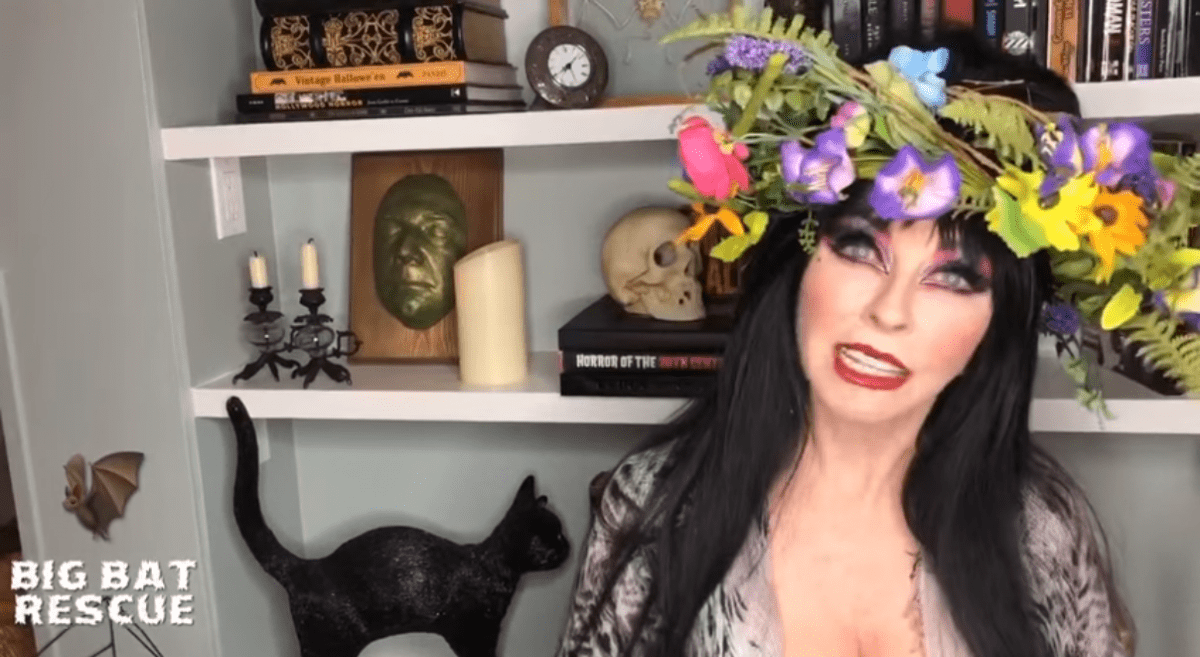 Elvira Just Made a Spoof Video of Carole Baskin and I Can’t Stop Laughing