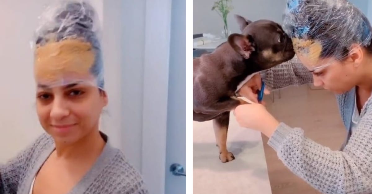 This TikTok Video Shows How To Use Peanut Butter To Cut Your Dog’s Toenails