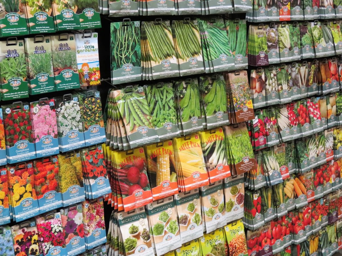 Here’s Why You Need to Get Garden Seeds Now