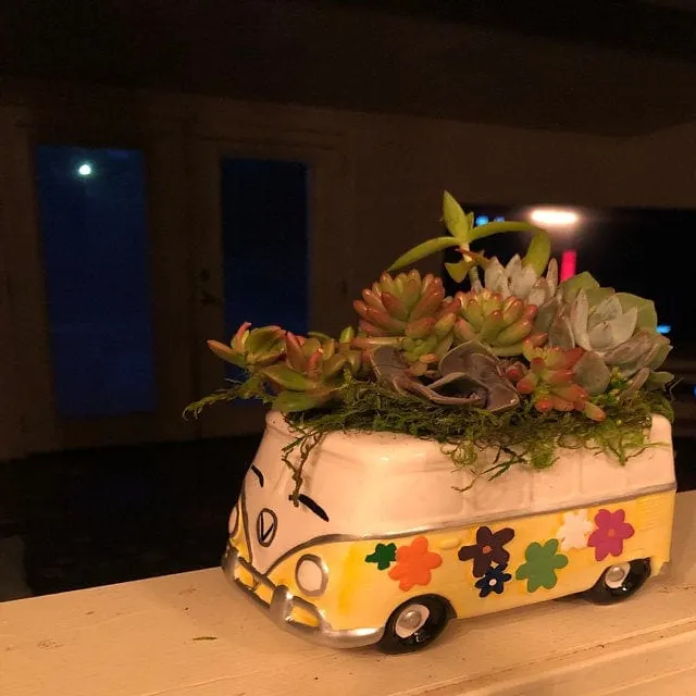 You Can Get A Volkswagen Bus Succulent Planter And It Is Groovy Baby