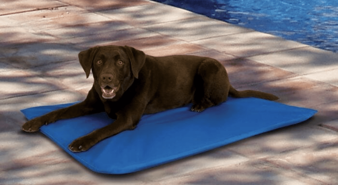 K&H PET PRODUCTS Coolin' Dog Mat, Blue, X-Large 