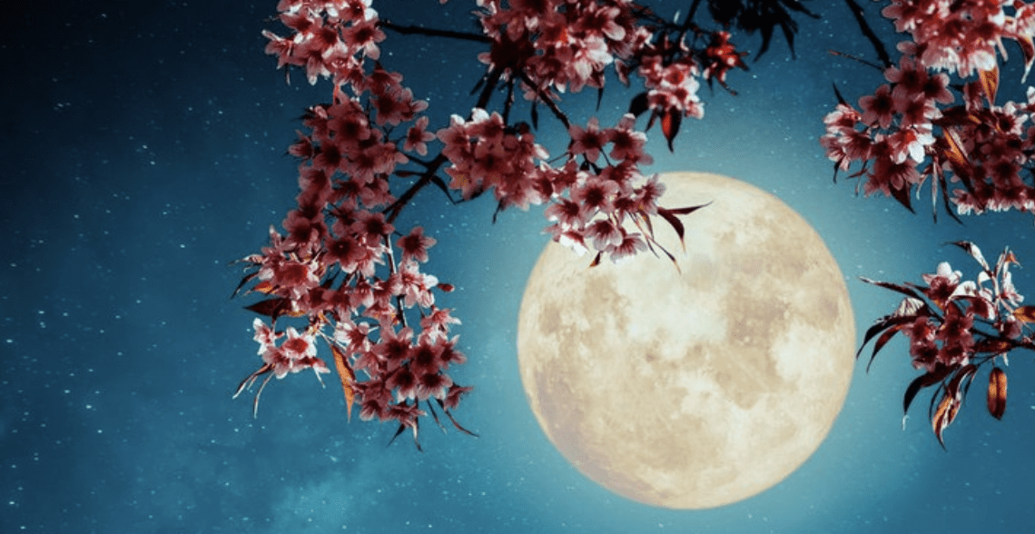 The ‘Super Flower Moon’ is The Last Full Supermoon in 2020. Here’s How You Can See It