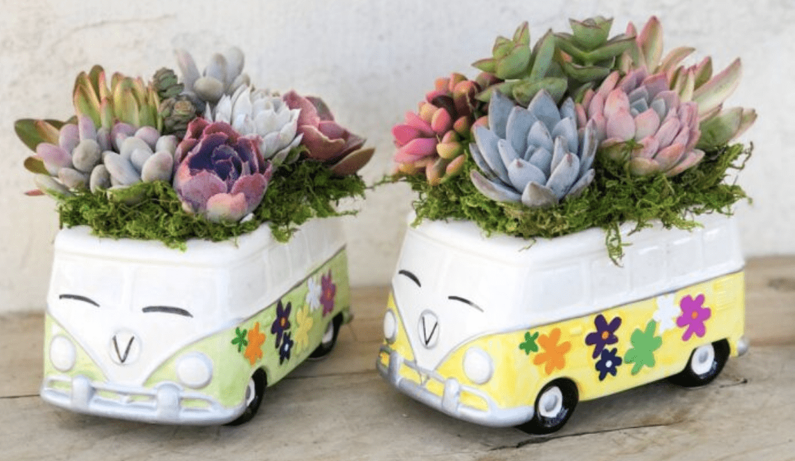 You Can Get A Volkswagen Bus Succulent Planter And It Is Groovy, Baby!