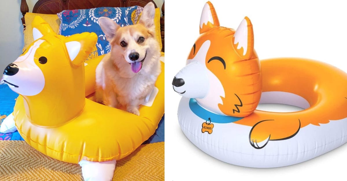 You Can Get A Corgi Pool Float And I Need It