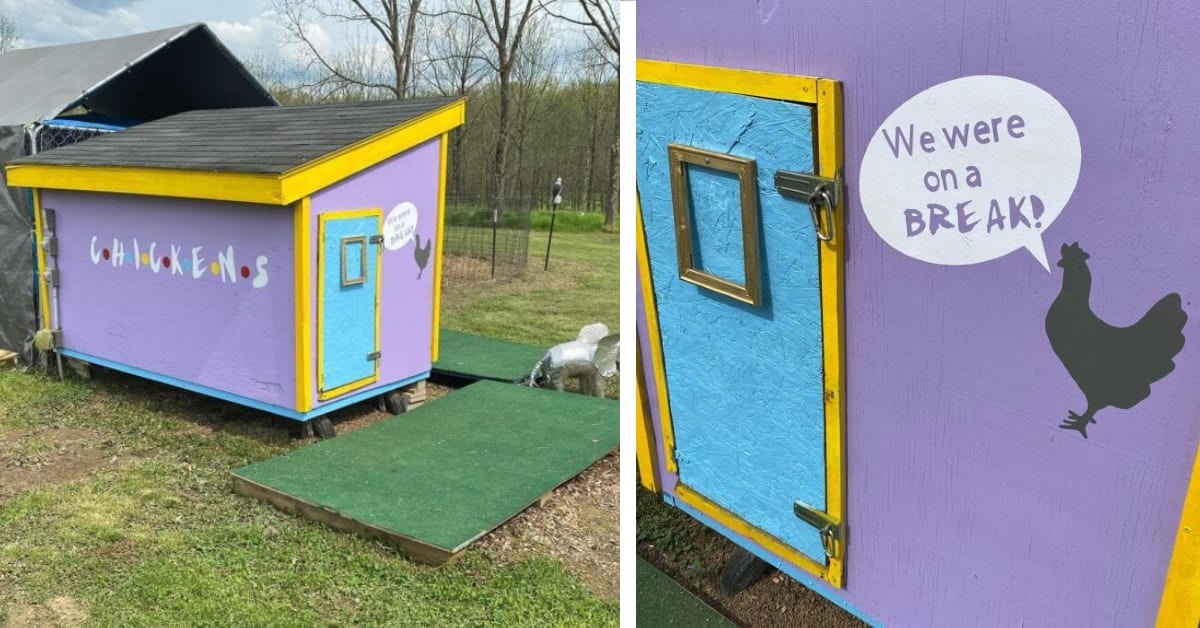 This Chicken Coop Looks Just Like The Apartment From ‘Friends’ And It’s Adorable
