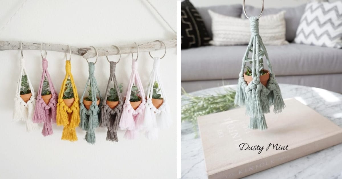 You Can Get Tiny Hanging Succulent Holders For Your Car and I Want Them All
