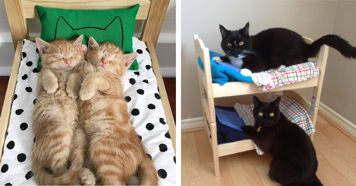 You Can Turn This Mini IKEA Doll Bed Into The Cutest Cat Bed Ever