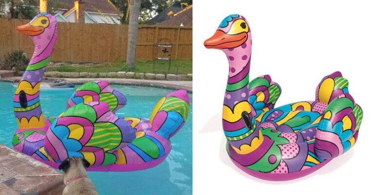 You Can Get a Colorful Ostrich Pool Float and I Need It In My Life