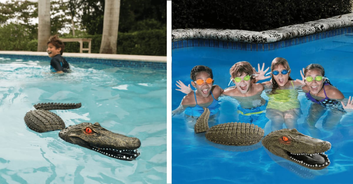 You Can Get A Floating Alligator to Guard Your Swimming Pool and I’m Getting One Now