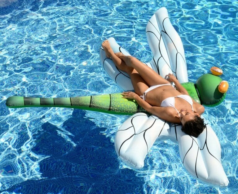 You can Get A Giant Light-Up Dragonfly Pool Float and I Need One