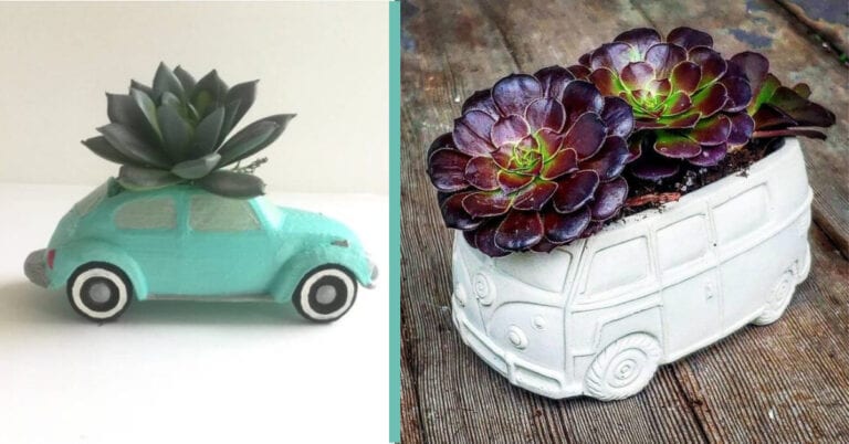You Can Get Volkswagen Succulent Planters and I Need Them In My Life
