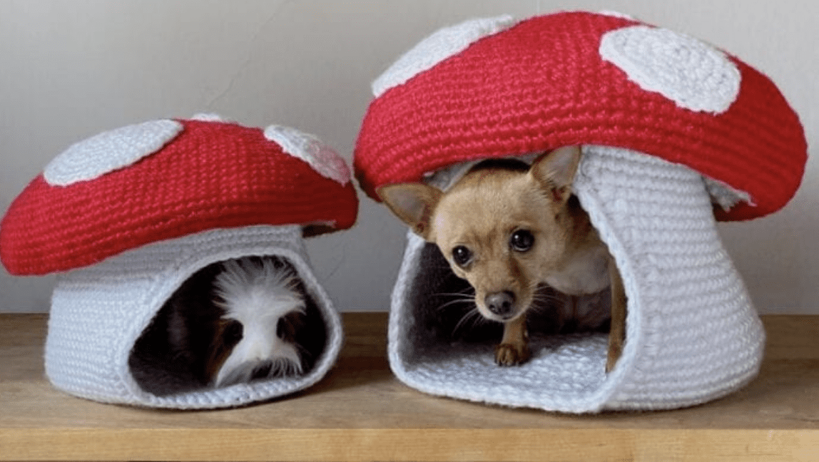 You Can Crochet a Mushroom Bed For Your Pet and I am In Love