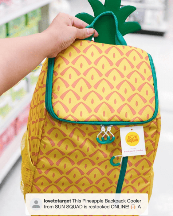 Sun Squad Pineapple Backpack Cooler Insulated Liner 20-can Target RARE HTF NEW