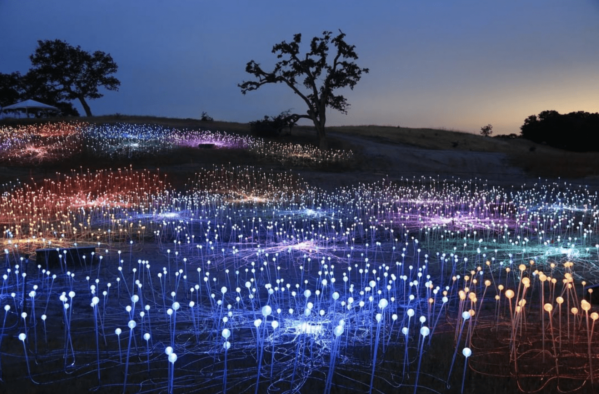 This Field of Lights Is A Real Place You Can Visit In California and I’m Packing My Bags