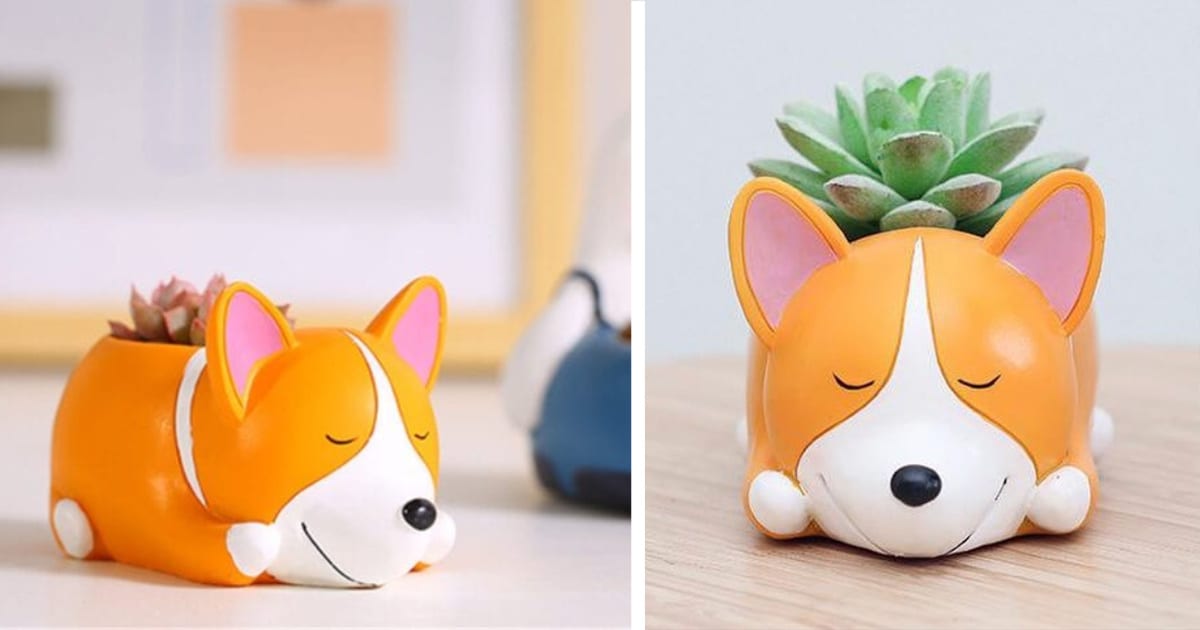 You Can Get A Corgi Succulent Planter That Is So Cute, I Need It