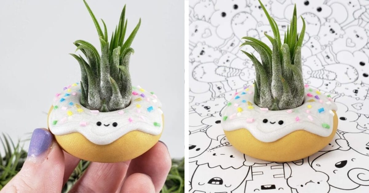 You Can Get Your Own Tiny Donut Air Plant Holder And I’m Totally Getting One Now