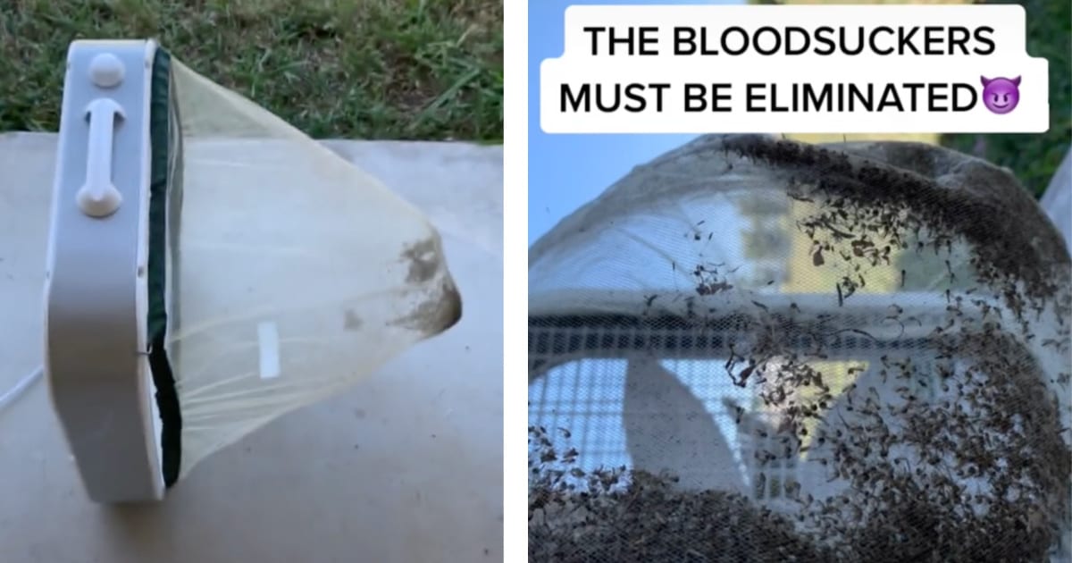 How to Make A Mosquito Trap In Under 10 Minutes