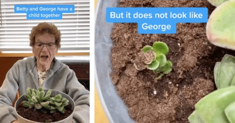 This Woman Gives Us A Hilarious Look At Her Succulent Collection and I Can’t Stop Laughing