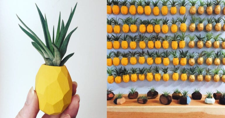 These Magnetic Pineapple Air Plants Are So Bright and Cheerful, You Need Them In Your Life