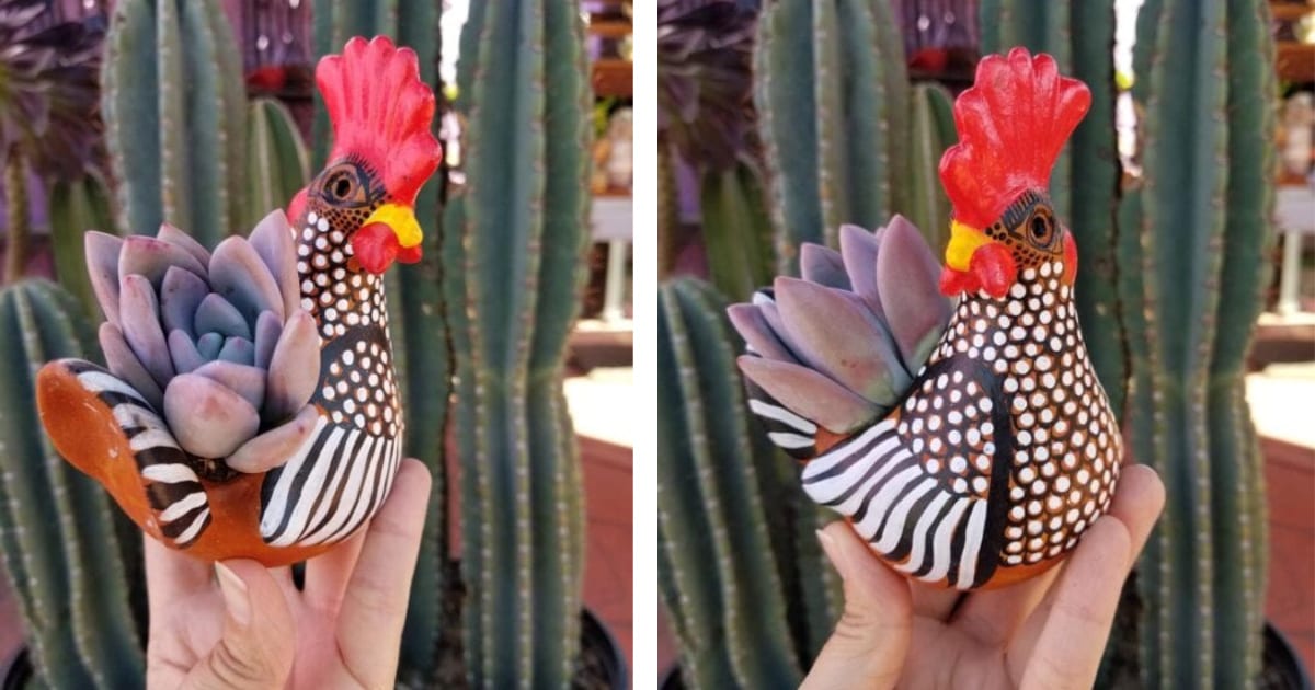 You Can Get A Handmade Rooster Succulent Planter and I Need One For My Kitchen