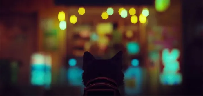 New PS5 Game 'Stray' Lets You Be A Cat In A Neon-Lit Cybercity And Solve  Mysteries In It