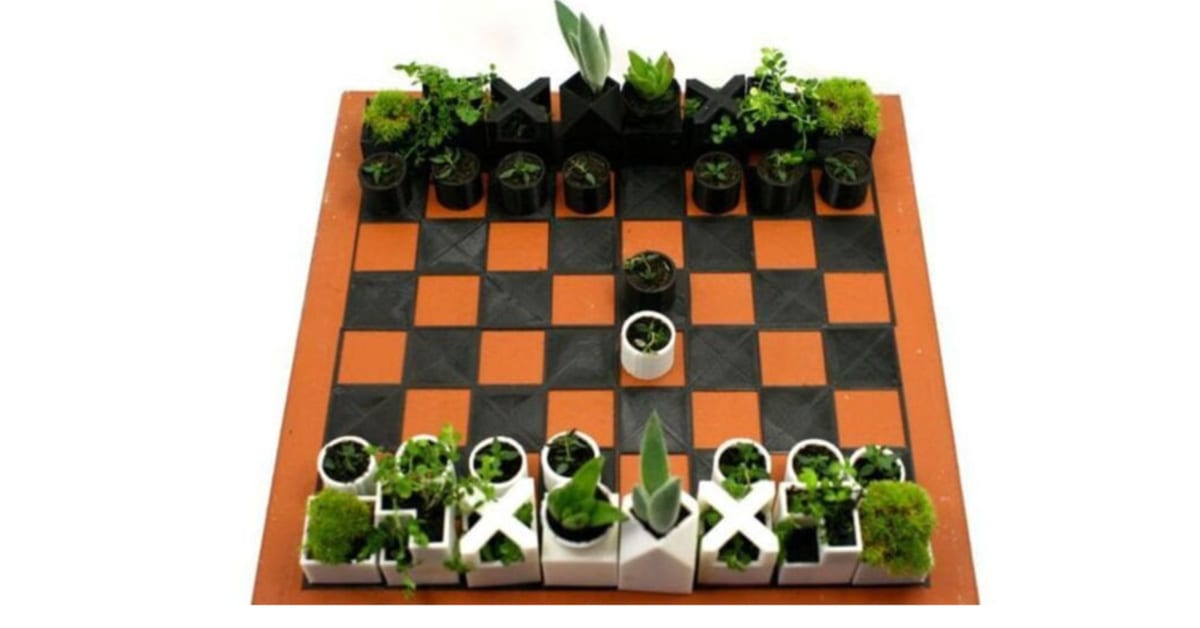 You Can Get A Succulent Chess Set And Now I Want To Learn How To Play Chess